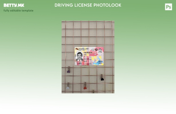 модерен стил САД Мериленд DL го претстави шаблонот за фотолик FRONT